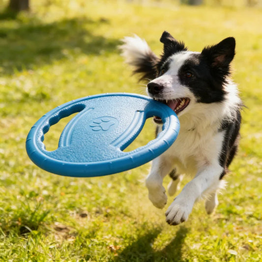 Hundespielzeug im Alltag – Mehr Bewegung, weniger Langeweile und ein ausgeglichener Hund
