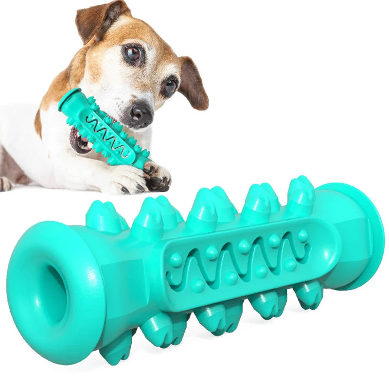 Hunde Kau Stick – TPR Zahnreinigungs Spielzeug für Welpen und Hunde Kaufschwan®