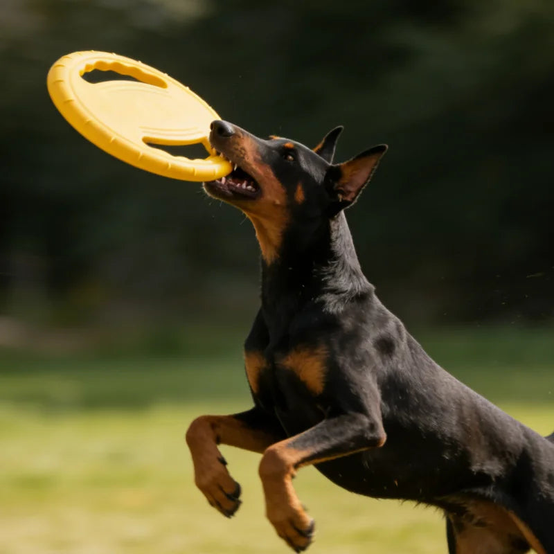 EVA Hunde Frisbee – Robustes Kauspielzeug und Trainingsscheibe für Hunde Kaufschwan®