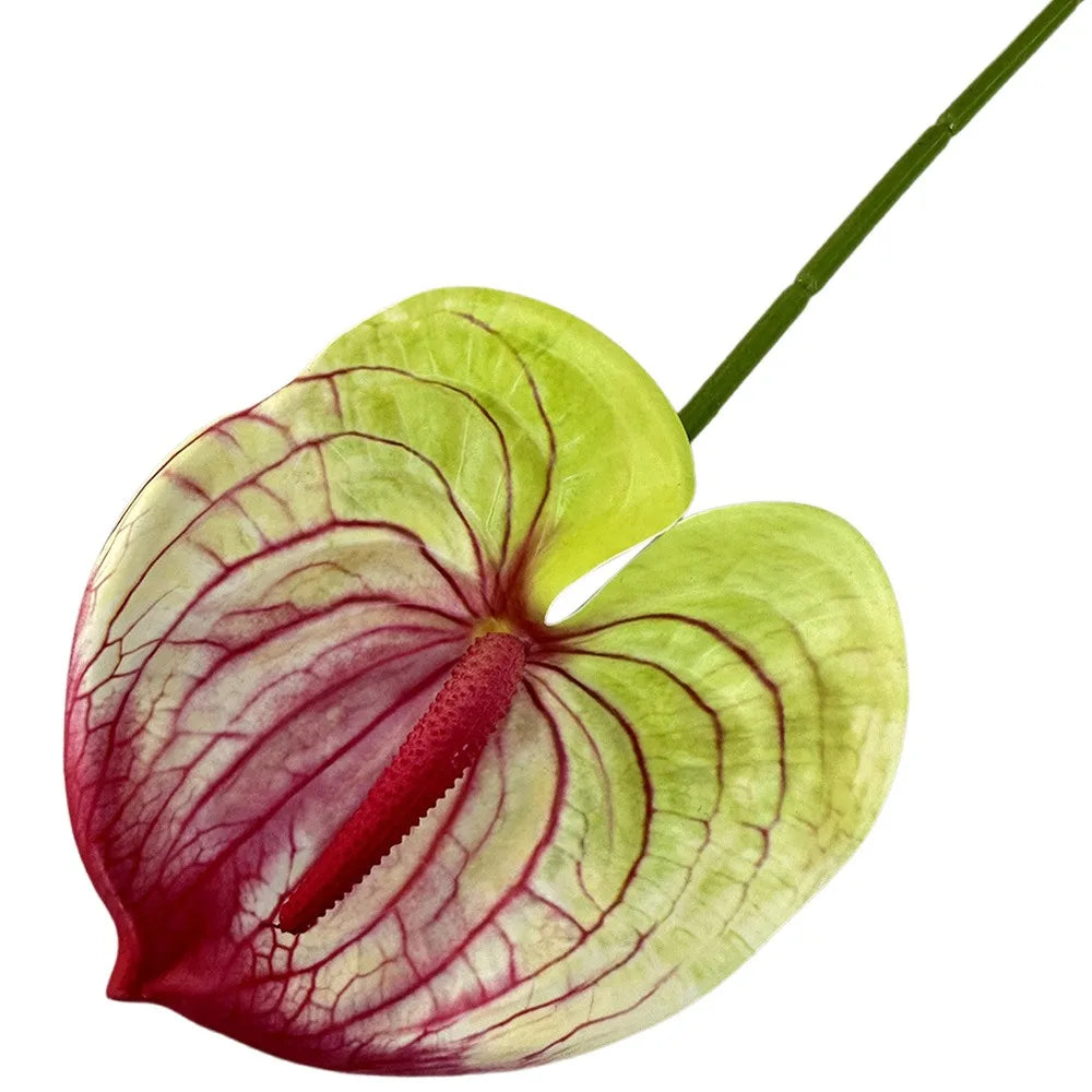 Mehrfarbige Künstliche Kleine Anthurie 60cm – Real-Touch Gummiblume für Zuhause, Fotorequisiten & Tropische Dekoration Kaufschwan® Rot-Grün