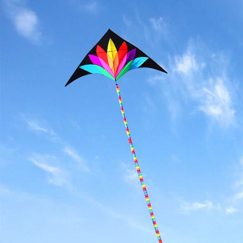 2M Großer Regenbogen-Delta-Drachen mit 10M Langen Schwänzen – Bunter Nylondrachen für Erwachsene und Freizeit im Freien Kaufschwan®