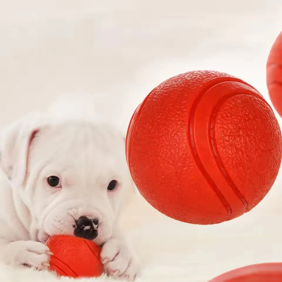 Gummi Hundespielball – Bissfester Vollball für Hunde und Welpen Kaufschwan®