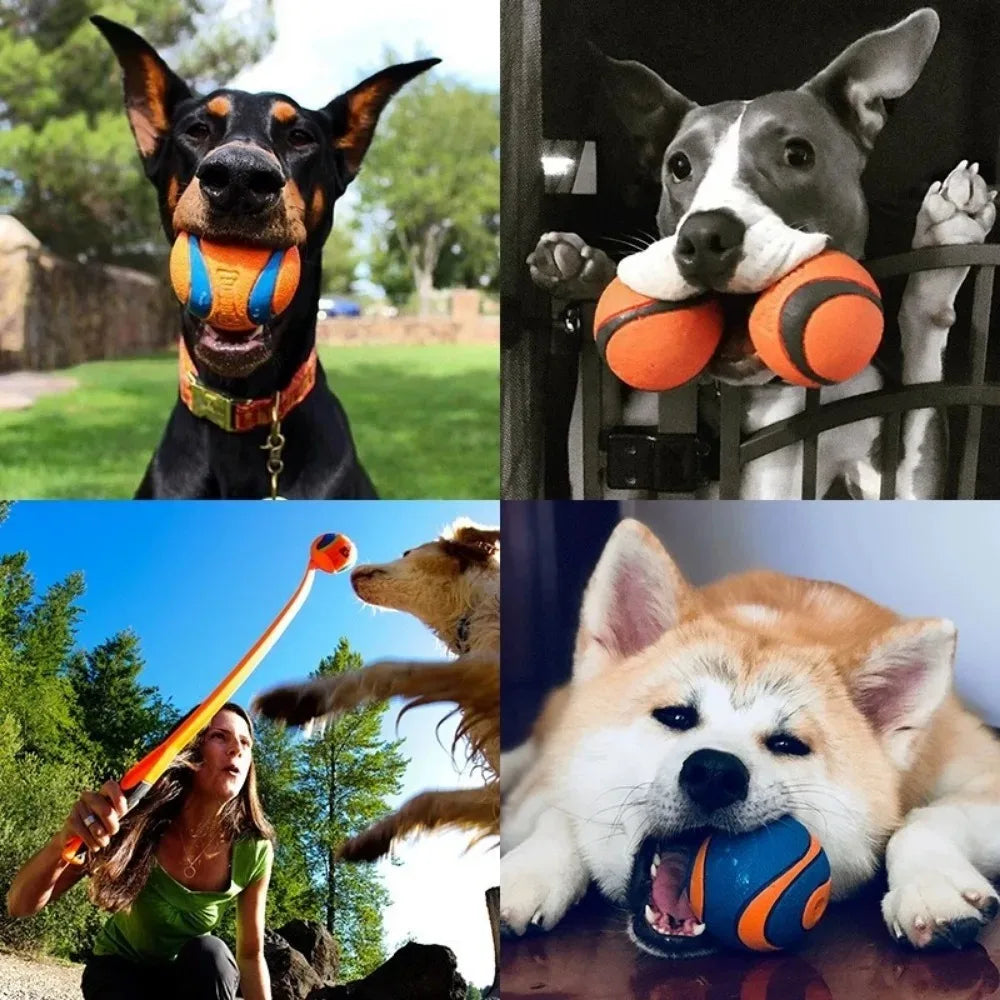 Elastischer Hundespielball – Robuster Springender Kauspielball Kaufschwan®