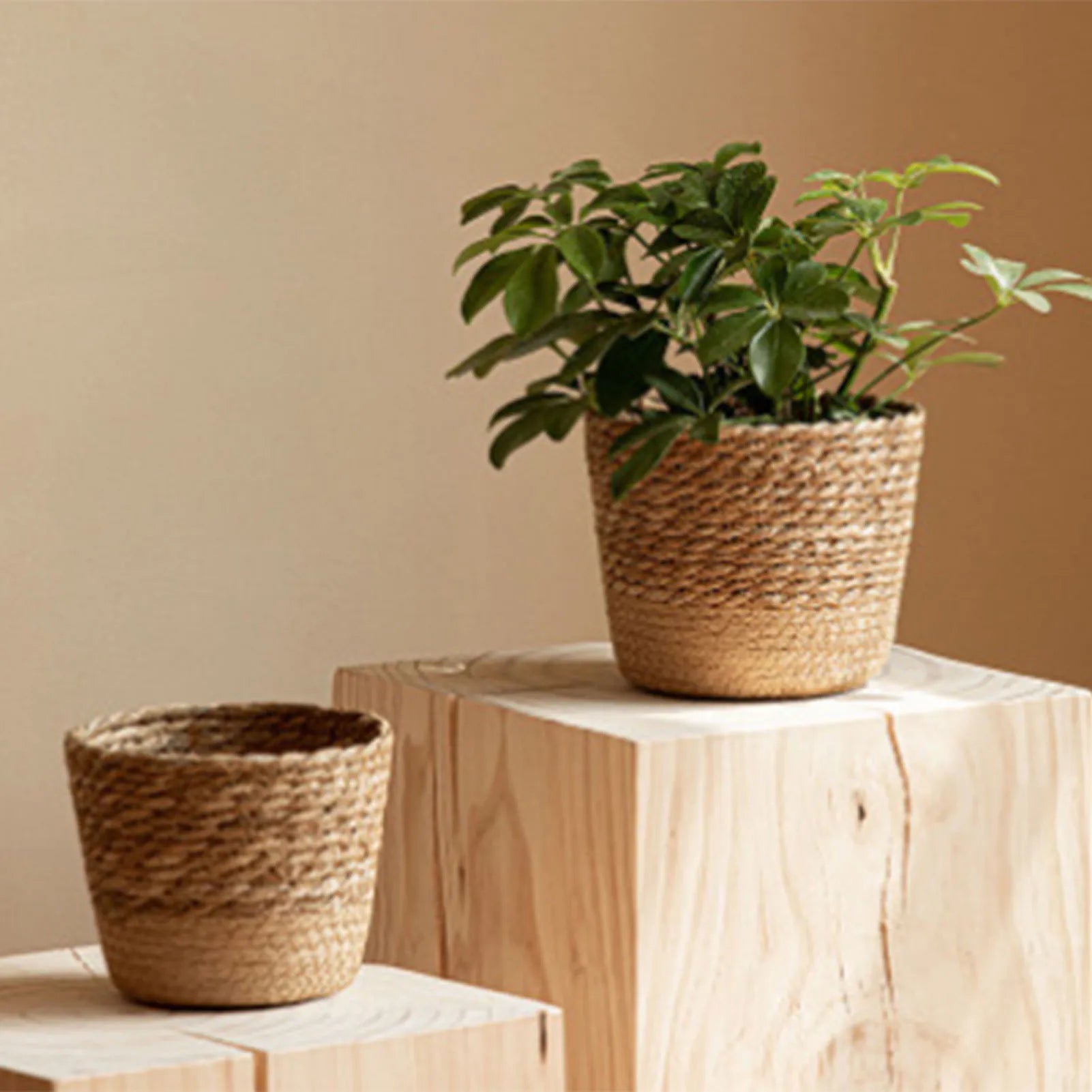 Natürlicher Geflochtener Blumen Korb – Stroh Weiden Pflanzkorb & Aufbewahrung | Großer Dekorativer Korb für Zuhause & Geschenk Kaufschwan®