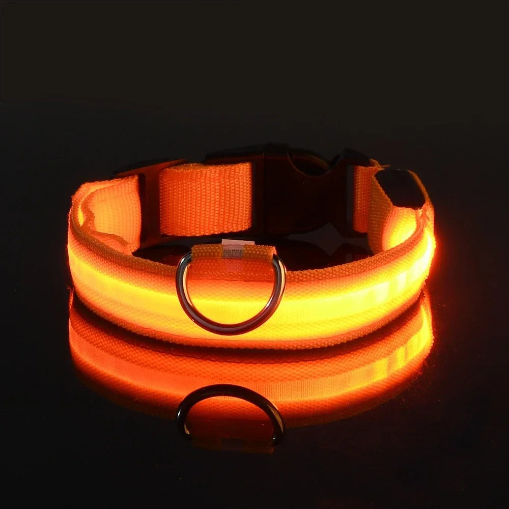 LED Leuchtendes Hundehalsband Nylon Blinkend Nacht Sicherheit Fluoreszierend Verstellbar für Hunde Kaufschwan® Orange XS 28-38cm