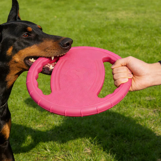 EVA Hunde Frisbee – Robustes Kauspielzeug und Trainingsscheibe für Hunde Kaufschwan®