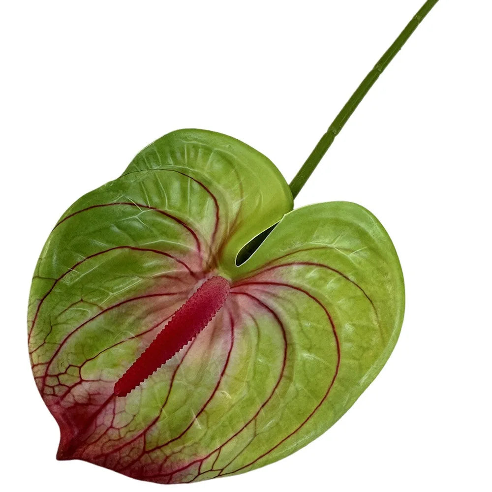 Mehrfarbige Künstliche Kleine Anthurie 60cm – Real-Touch Gummiblume für Zuhause, Fotorequisiten & Tropische Dekoration Kaufschwan® Grün-rosa