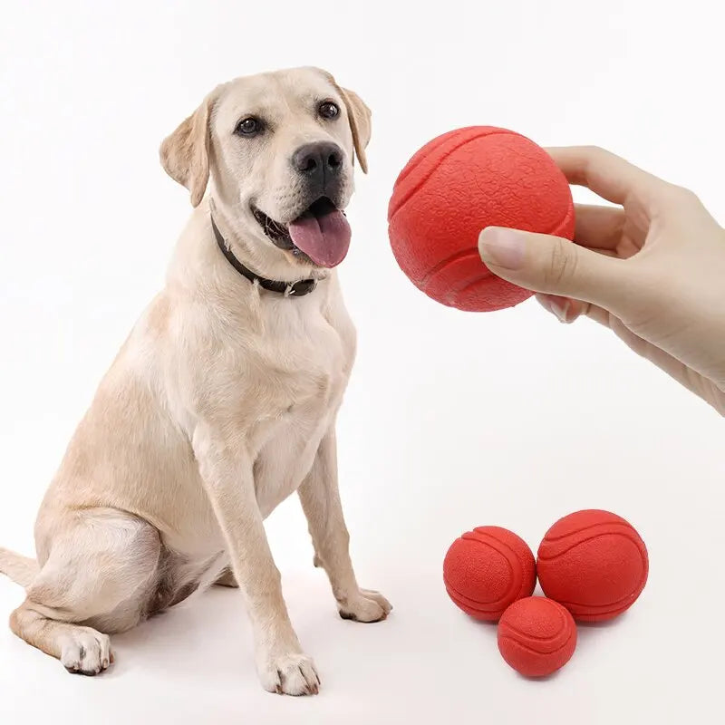 Gummi Hundespielball – Bissfester Vollball für Hunde und Welpen Kaufschwan®
