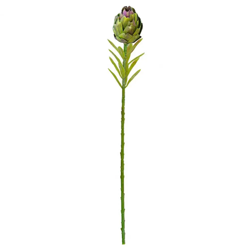 Künstliche Artischocken & Protea Cynaroides – Realistische Kunstblumen für Tischdekoration, Wohnzimmer & Hochzeitsarrangements Kaufschwan® Grün