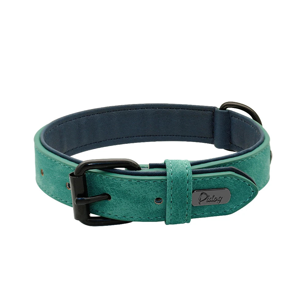 Gepolstertes Echtleder Hundehalsband Strapazierfähig für Große Hunde Kaufschwan® Grün S