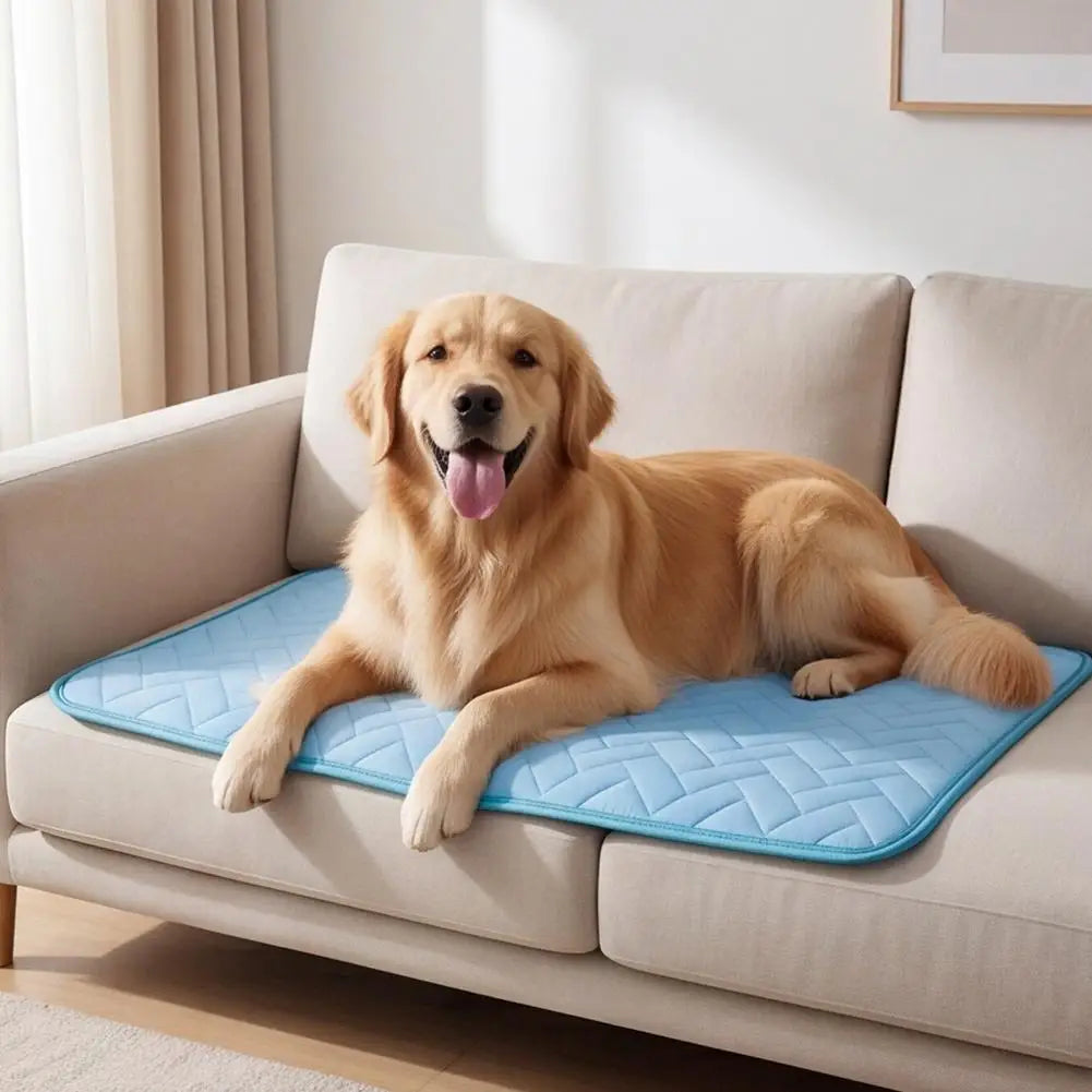 Kühlmatte für Hunde - Strapazierfähige Sommer Kühlmatte für Kleine und Große Hunde sowie Katzen für Sofa und Haustierbett Kaufschwan®