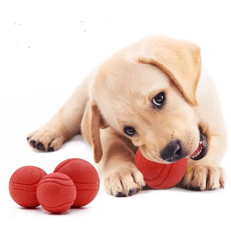Gummi Hundespielball – Bissfester Vollball für Hunde und Welpen Kaufschwan®