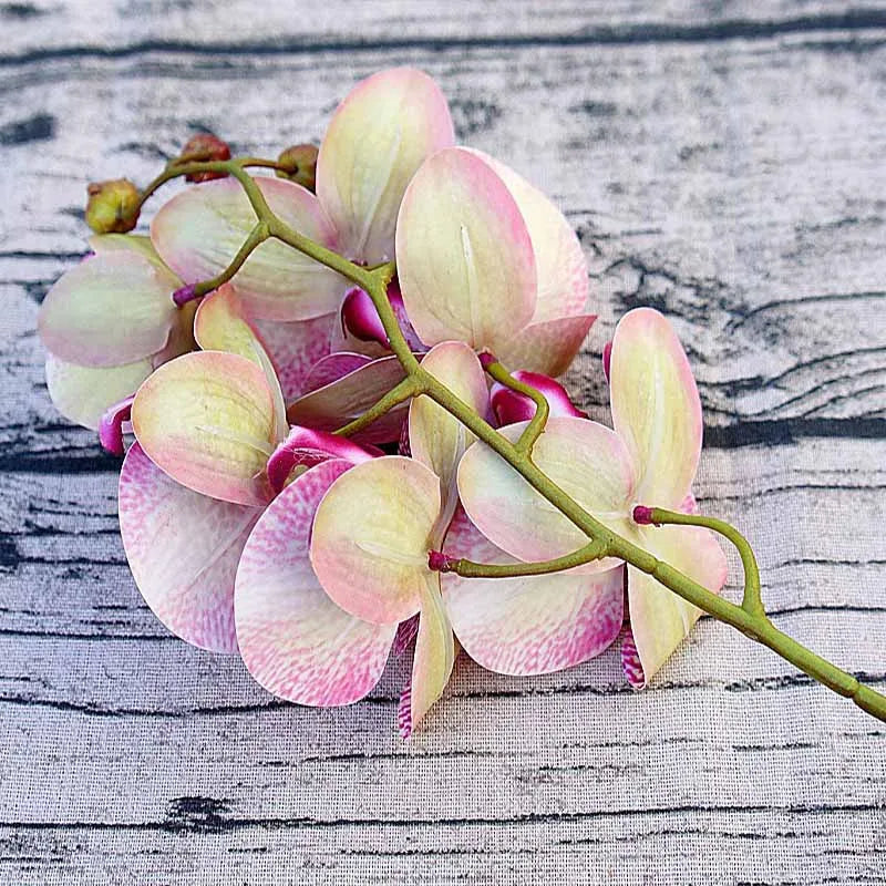 3D Künstliche Schmetterlings-Orchideen – Kunststoffblumen für Zuhause, Vase, Hochzeit, Garten & Partydekoration | DIY Girlanden & Geschenkboxen Kaufschwan®