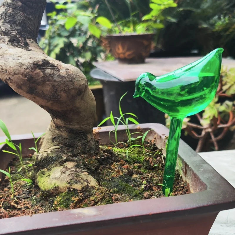 Automatische Pflanzenbewässerungs-Kugeln – Selbstbewässernde Vogel & Kugel Form Geräte | Tropfbewässerungssystem für Haus, Garten & Blumentöpfe Kaufschwan®