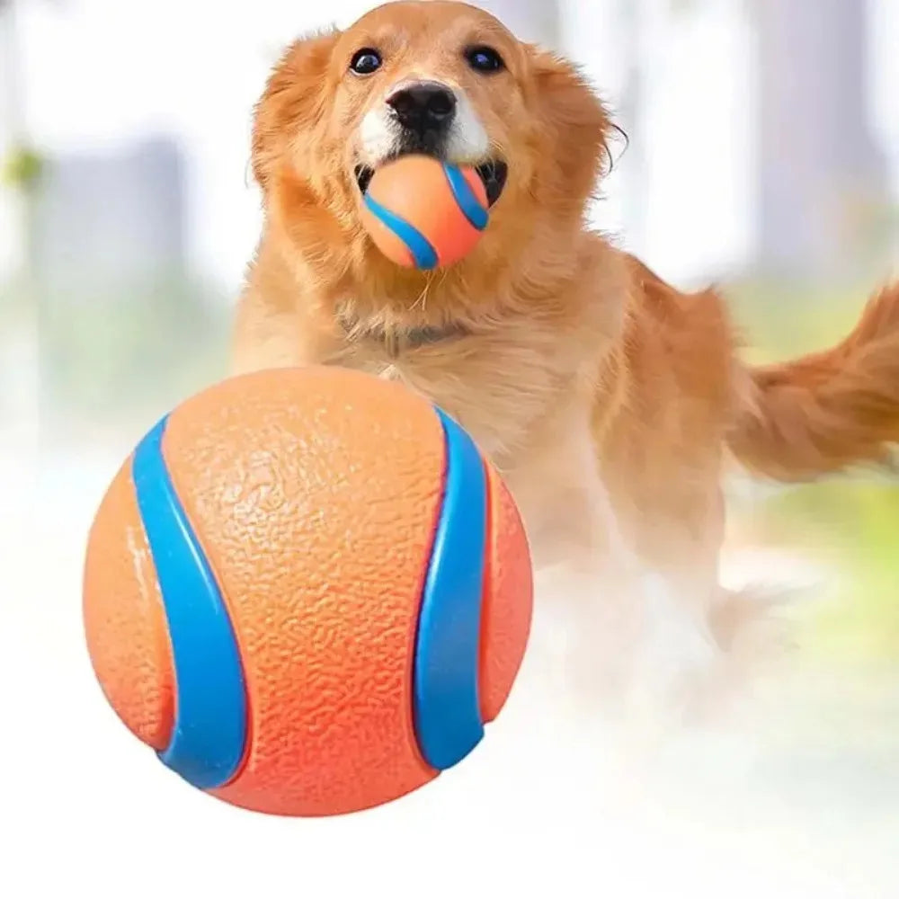 Elastischer Hundespielball – Robuster Springender Kauspielball Kaufschwan®