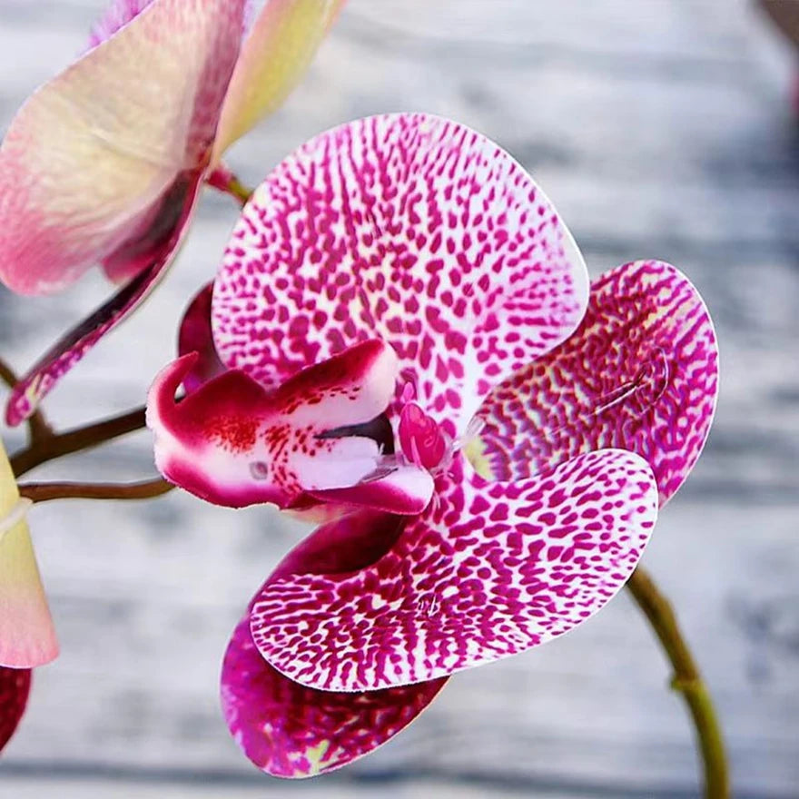 3D Künstliche Schmetterlings-Orchideen – Kunststoffblumen für Zuhause, Vase, Hochzeit, Garten & Partydekoration | DIY Girlanden & Geschenkboxen Kaufschwan®