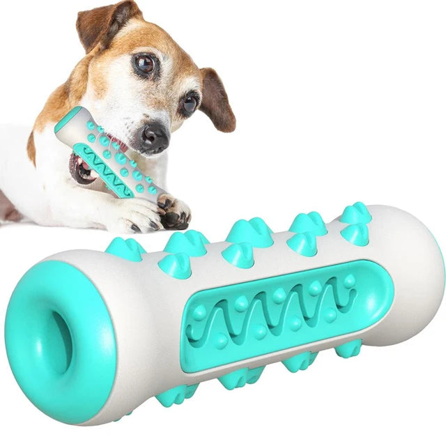 Hunde Kau Stick – TPR Zahnreinigungs Spielzeug für Welpen und Hunde Kaufschwan® Blau
