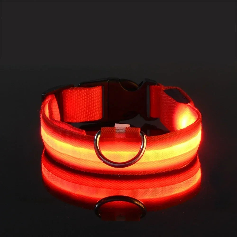 LED Leuchtendes Hundehalsband Nylon Blinkend Nacht Sicherheit Fluoreszierend Verstellbar für Hunde Kaufschwan®