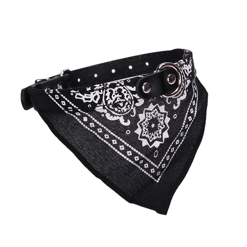 PU Leder Hundehalsband mit Schal Verstellbar Stilvolles Halsband für Kleine Mittelgroße Hunde Welpen Kaufschwan® Schwarz XS-1.5-3.5kg