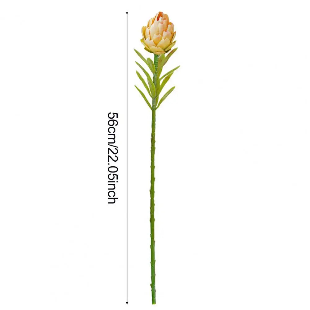 Künstliche Artischocken & Protea Cynaroides – Realistische Kunstblumen für Tischdekoration, Wohnzimmer & Hochzeitsarrangements Kaufschwan®