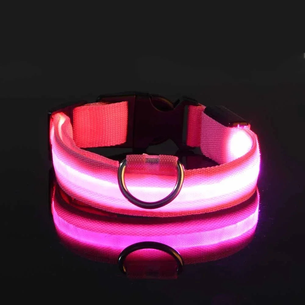 LED Leuchtendes Hundehalsband Nylon Blinkend Nacht Sicherheit Fluoreszierend Verstellbar für Hunde Kaufschwan® Rosa XS 28-38cm