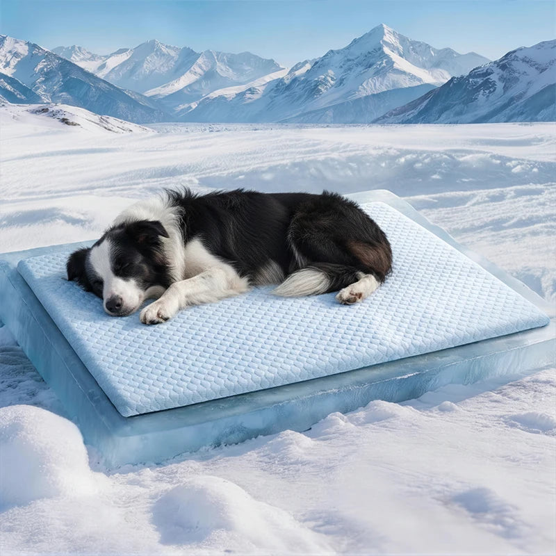 Sommer Kühlmatte für Haustiere - Dicke Atmungsaktive Schlafmatte aus Eisseide für Hunde, Katzen und Große Haustiere Kaufschwan®