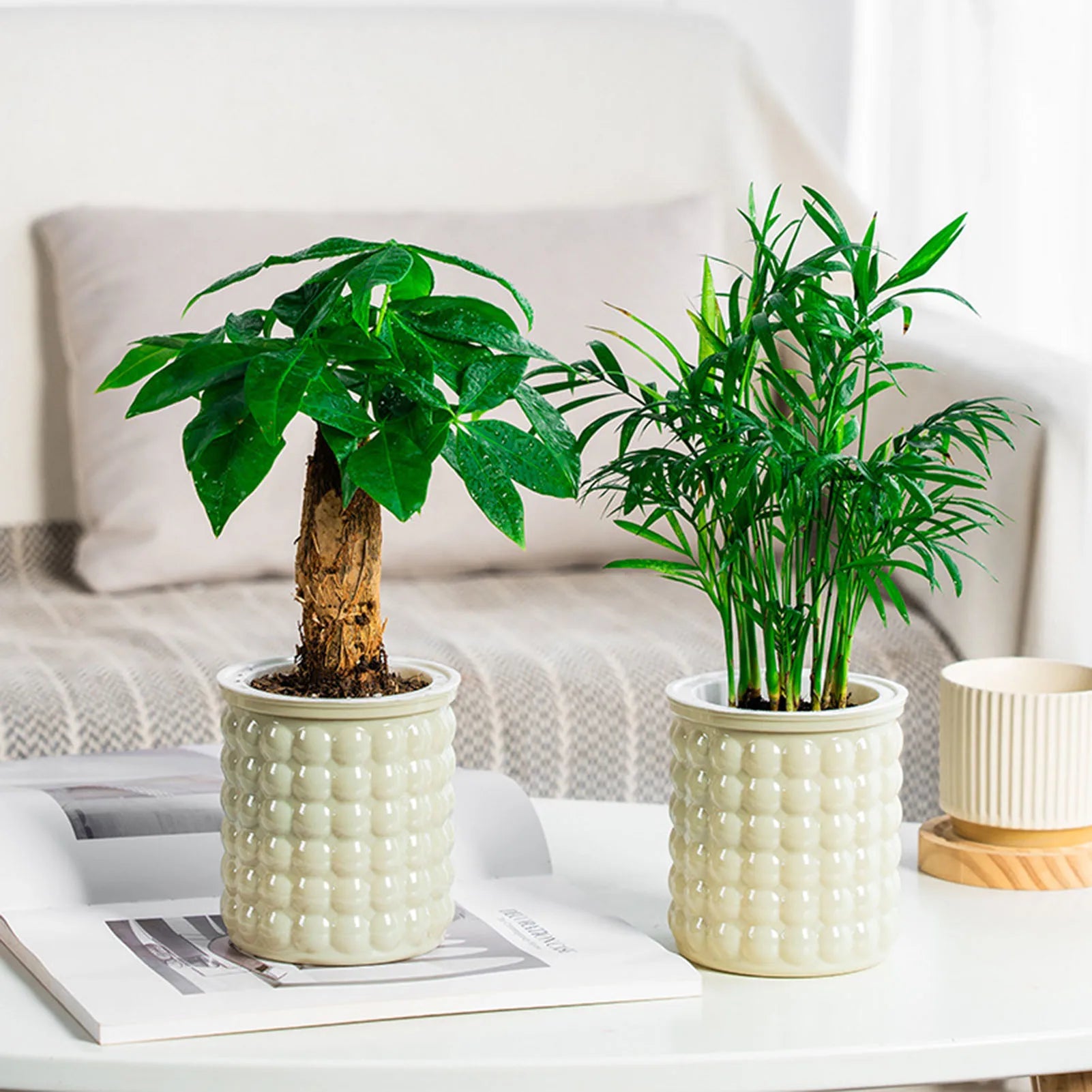 Selbstbewässernder Blumentopf aus Kunststoff – Doppellagiger Pflanztopf mit Wasserspeicher Kaufschwan®