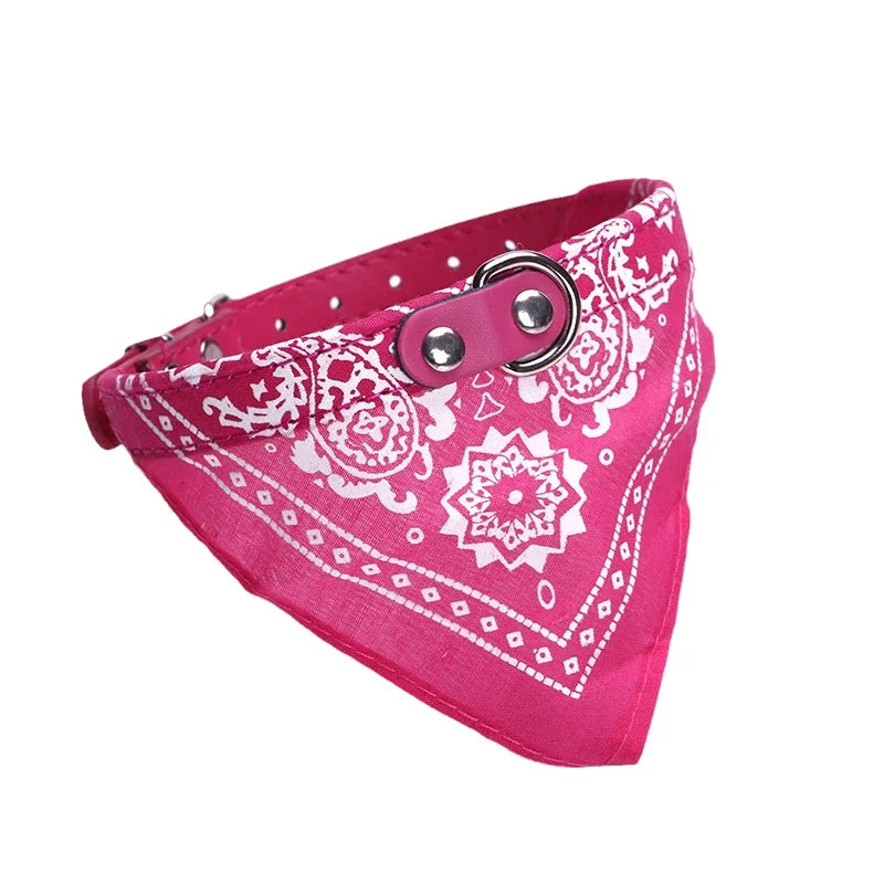 PU Leder Hundehalsband mit Schal Verstellbar Stilvolles Halsband für Kleine Mittelgroße Hunde Welpen Kaufschwan® Rose XS-1.5-3.5kg