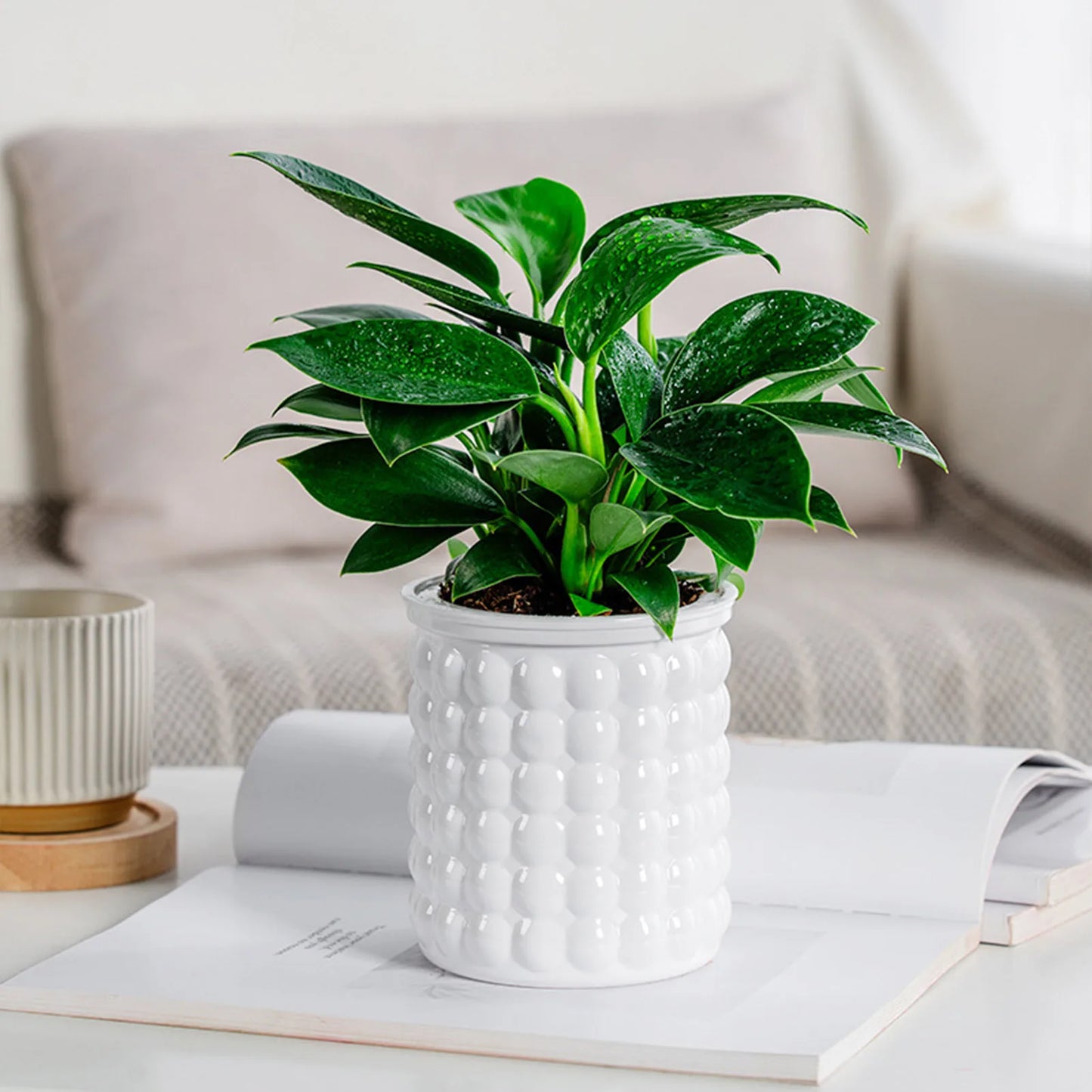 Selbstbewässernder Blumentopf aus Kunststoff – Doppellagiger Pflanztopf mit Wasserspeicher Kaufschwan®