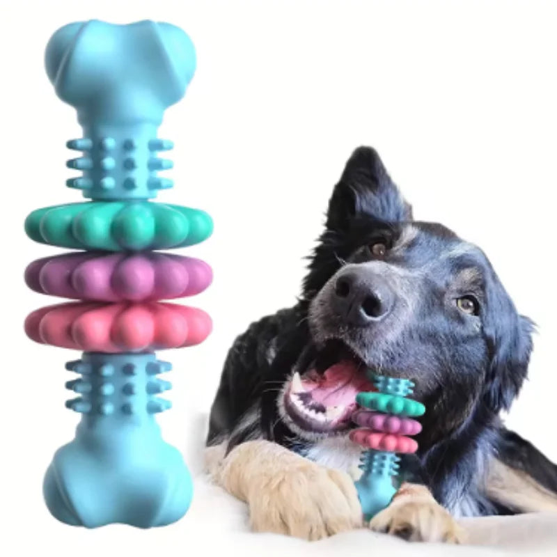 Hunde Kauknochen Set – Bissfeste Zahnungs Spielzeuge für Welpen Kaufschwan®