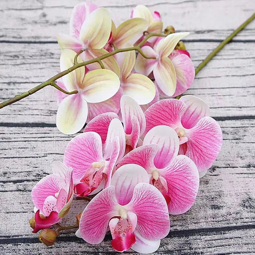 3D Künstliche Schmetterlings-Orchideen – Kunststoffblumen für Zuhause, Vase, Hochzeit, Garten & Partydekoration | DIY Girlanden & Geschenkboxen Kaufschwan®