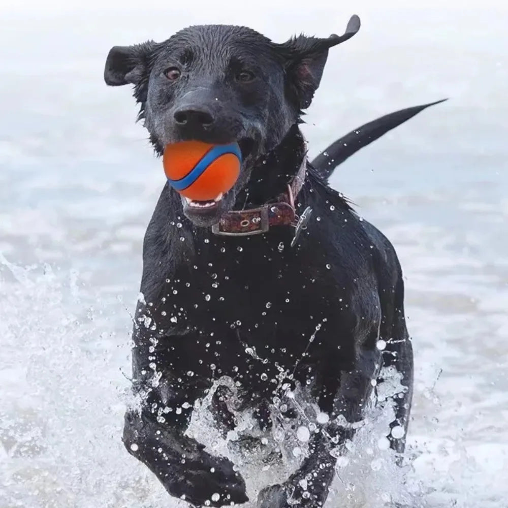 Elastischer Hundespielball – Robuster Springender Kauspielball Kaufschwan®