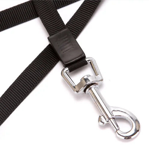 3M 5M Ausziehbare Hundeleine Automatische Flexible Nylon Rollleine für Kleine Mittelgroße Hunde Kaufschwan®
