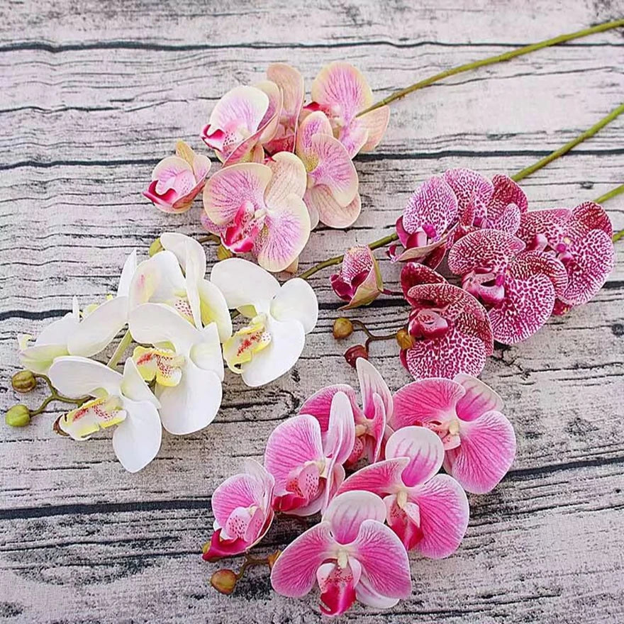 3D Künstliche Schmetterlings-Orchideen – Kunststoffblumen für Zuhause, Vase, Hochzeit, Garten & Partydekoration | DIY Girlanden & Geschenkboxen Kaufschwan®