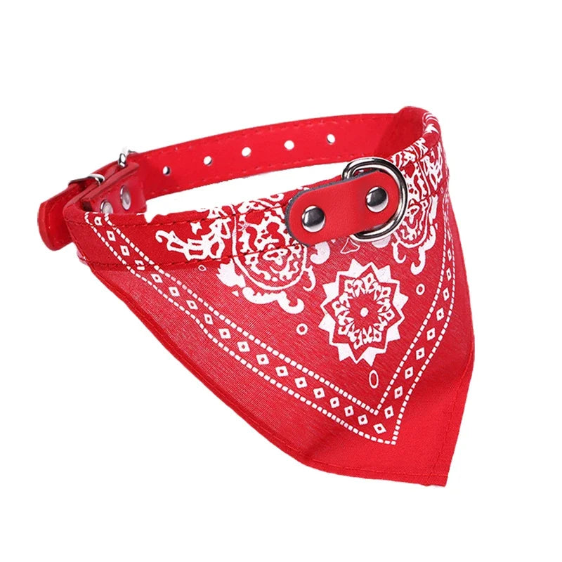 PU Leder Hundehalsband mit Schal Verstellbar Stilvolles Halsband für Kleine Mittelgroße Hunde Welpen Kaufschwan® Rot XS-1.5-3.5kg