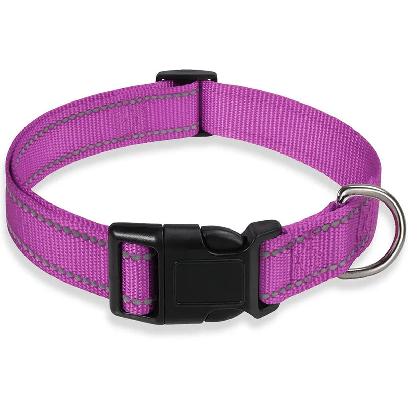 Reflektierendes Nylon Hundehalsband mit Leine Verstellbar Sicherheits Set für Kleine Mittelgroße Hunde Kaufschwan® Lila S 2x25-35cm