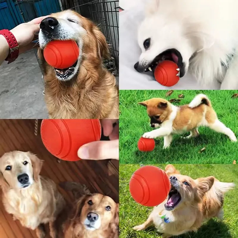 Gummi Hundespielball – Bissfester Vollball für Hunde und Welpen Kaufschwan®