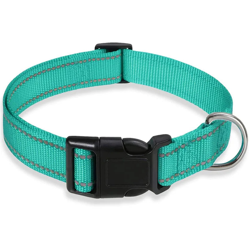 Reflektierendes Nylon Hundehalsband mit Leine Verstellbar Sicherheits Set für Kleine Mittelgroße Hunde Kaufschwan® Mint S 2x25-35cm
