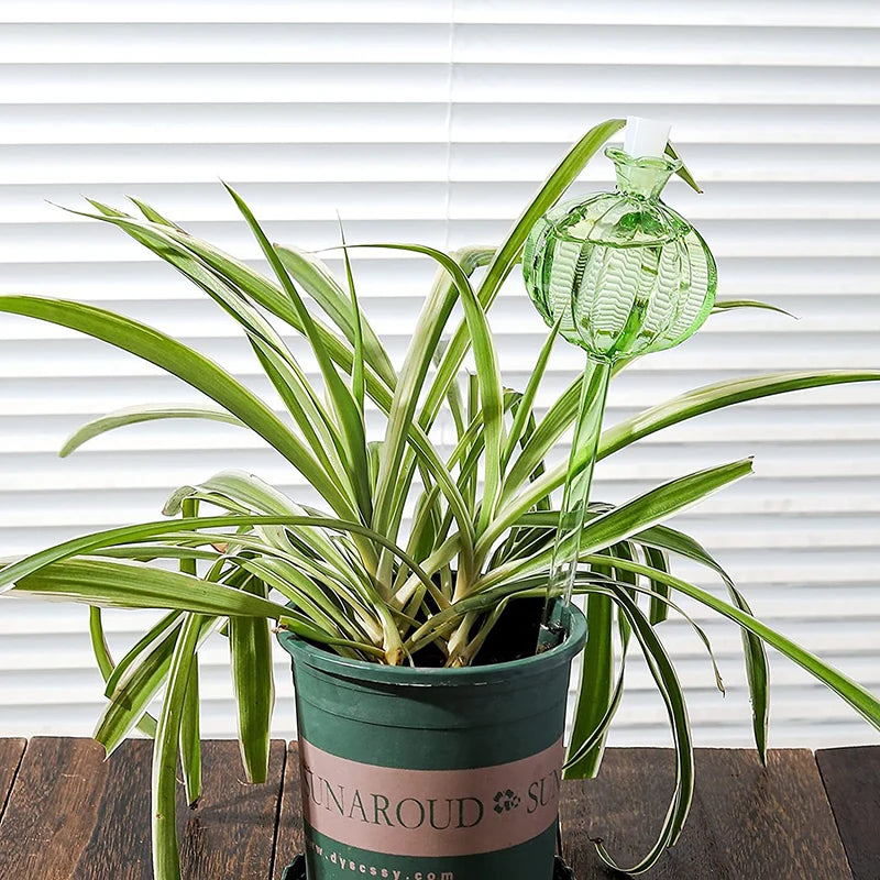Pflanzenbewässerungs-Kugeln aus Kunststoff Glas – Automatisches Selbstbewässerungssystem | Leichtes Tropfbewässerungsgerät für Haus & Garten Kaufschwan®