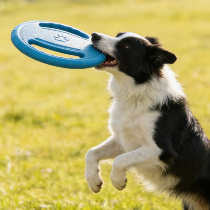 EVA Hunde Frisbee – Robustes Kauspielzeug und Trainingsscheibe für Hunde Kaufschwan®