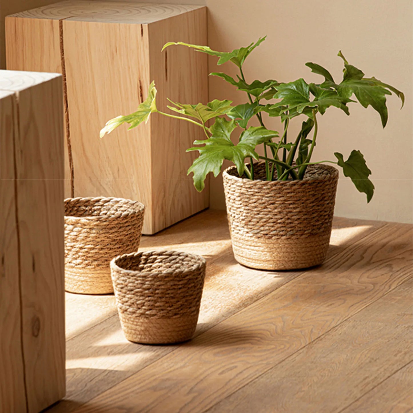 Natürlicher Geflochtener Blumen Korb – Stroh Weiden Pflanzkorb & Aufbewahrung | Großer Dekorativer Korb für Zuhause & Geschenk Kaufschwan®