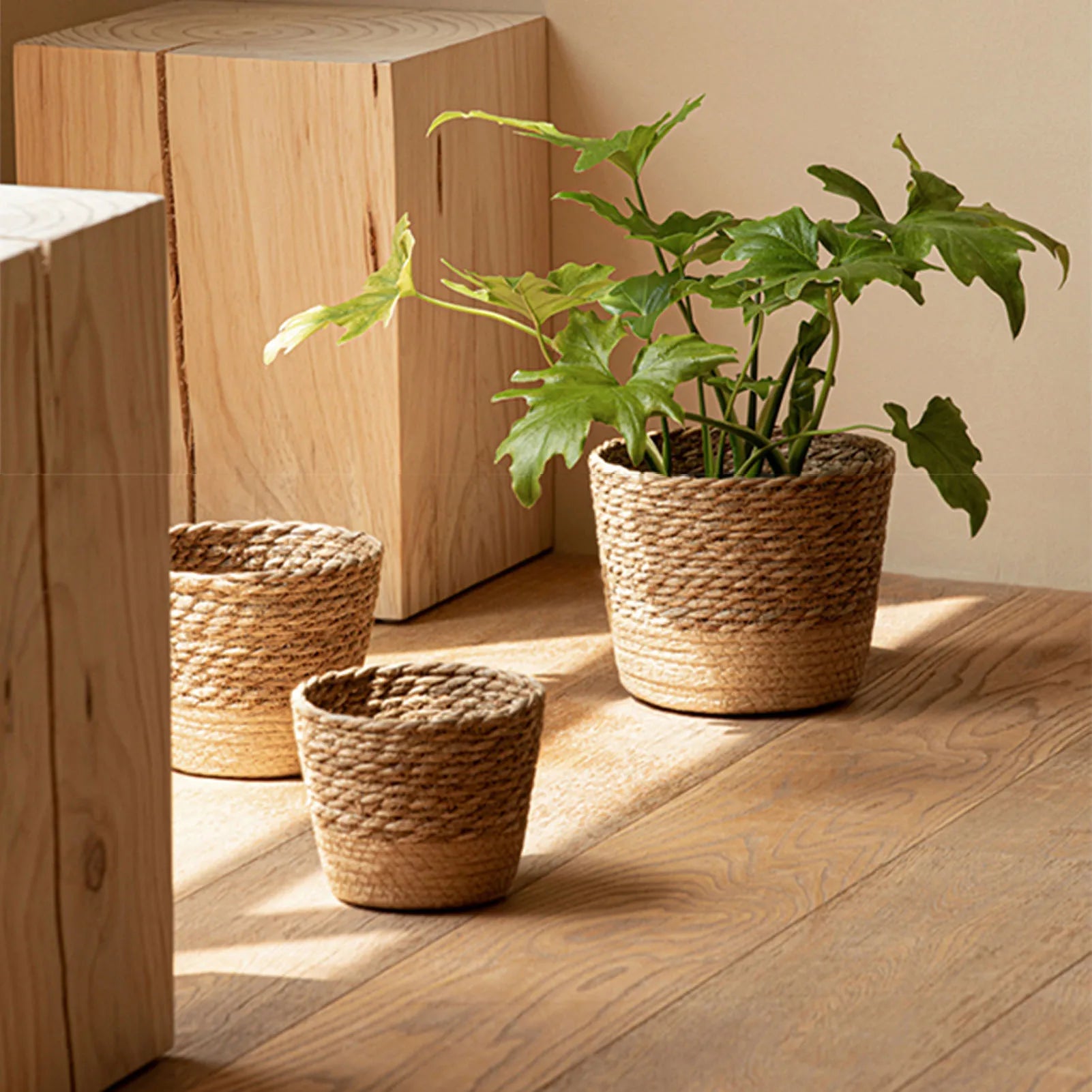 Natürlicher Geflochtener Blumen Korb – Stroh Weiden Pflanzkorb & Aufbewahrung | Großer Dekorativer Korb für Zuhause & Geschenk Kaufschwan®